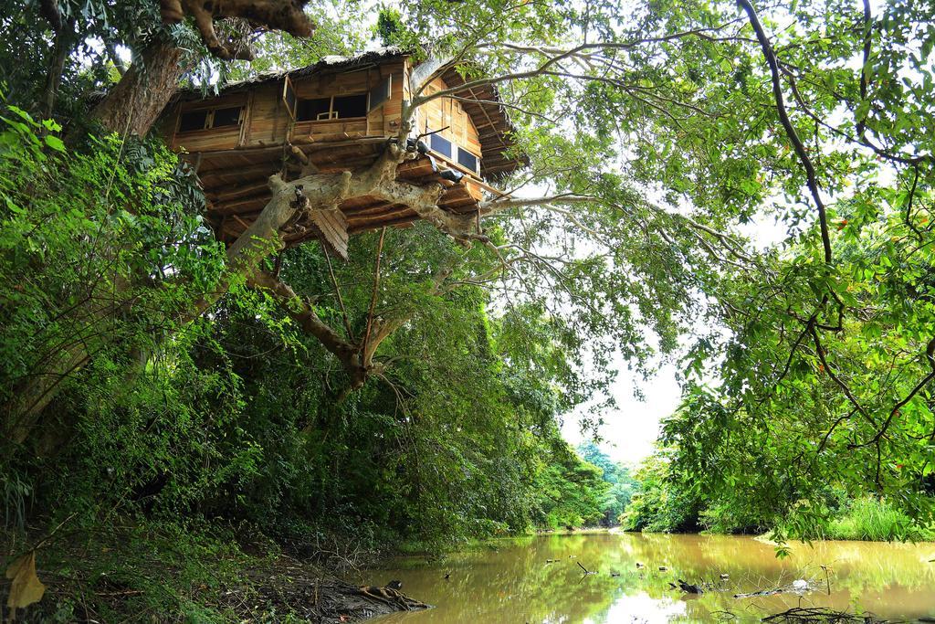 Kumbuk Tree House Villa Tissamaharama Eksteriør bilde