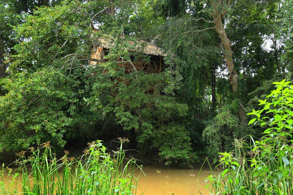Kumbuk Tree House Villa Tissamaharama Eksteriør bilde