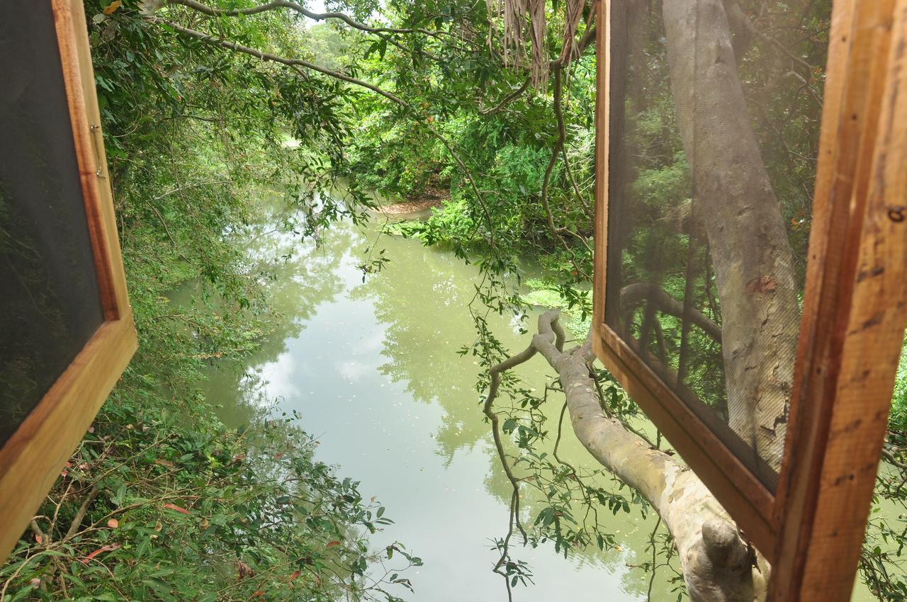 Kumbuk Tree House Villa Tissamaharama Eksteriør bilde