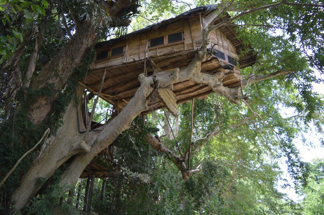 Kumbuk Tree House Villa Tissamaharama Eksteriør bilde